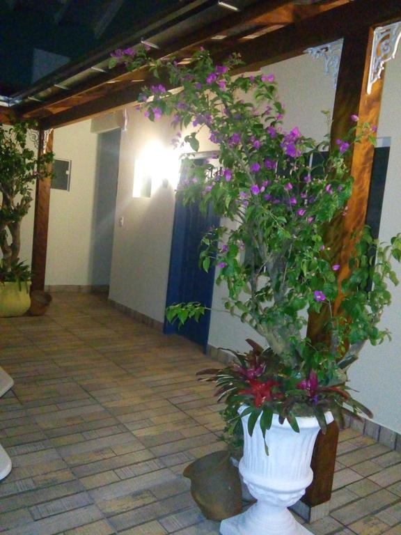 Gengibre Barra Velha (Santa Catarina)