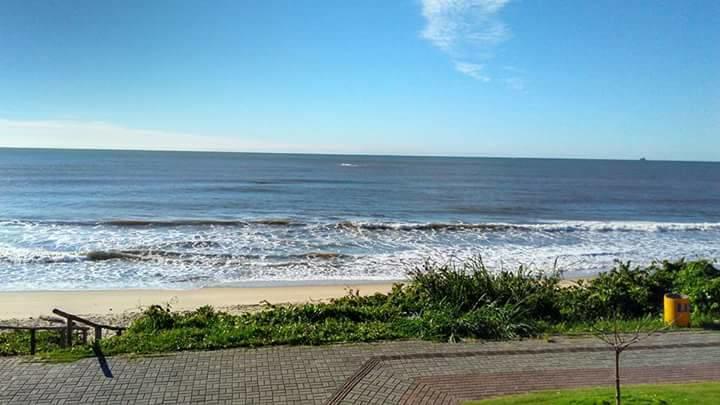Gengibre Barra Velha (Santa Catarina)